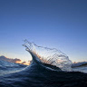 Meet your Posher, Castro